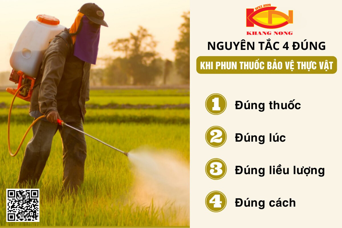 NGUYÊN TẮC 4️⃣  ĐÚNG KHI PHUN THUỐC BẢO VỆ THỰC VẬT